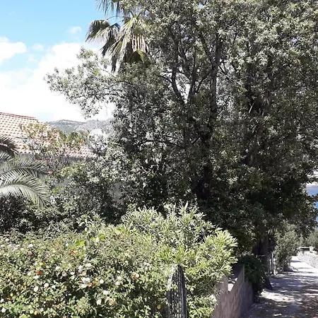 Marija * Zaton (Dubrovnik-Neretva)